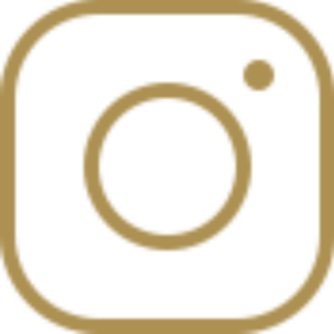 @store.olly
